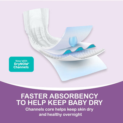 Gentle Dreams Overnight Diapers Size 6, 58 Count (Select for More Options)