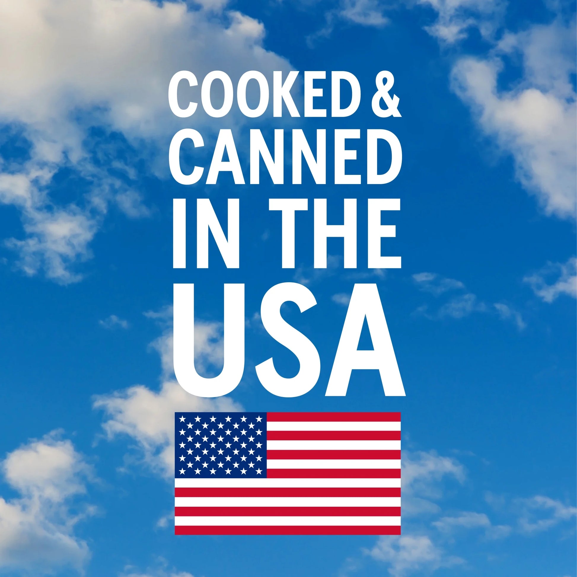 Black Beans, Canned Beans, 15 Oz