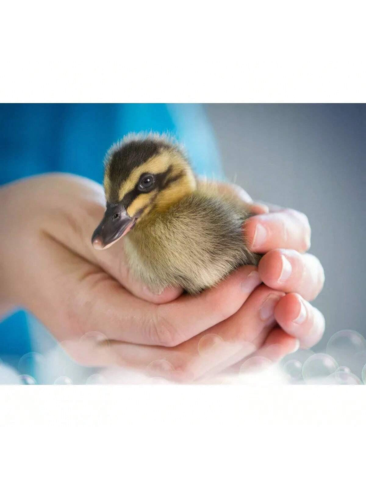 Dishwashing Liquid Dish Soap - Original, Home Cleaning, Kitchen Cleaning, Party Cleaning, Christmas and New Year Cleaning Supplies