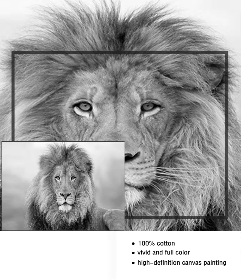 Black and White Animals Modular Canvas Pictures Art 5 Pieces Lion Poster Decor Living Room Wall HD Printing Paintings Framework